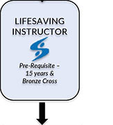 Lifesaving Instructor Courses