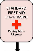 Standard First Aid CPR & AED Courses