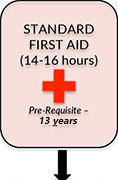 standard firstaid